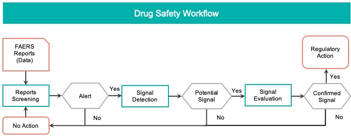 User Workflow